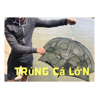 Lưới bát quái đánh bắt cá