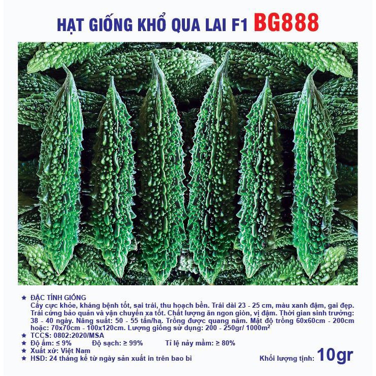 Hạt giống khổ qua xanh đen lai F1 BG888