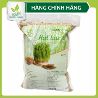 Hat giống cỏ lúa mì VietHealthy 3Kg