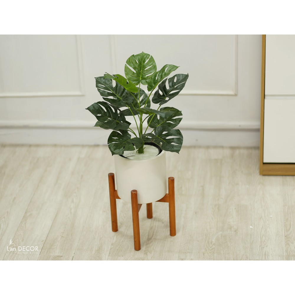 💥 Cây giả - Cây lá rùa nhựa trang trí để bàn, trang trí nhà đẹp cao 45cm - LC2026-2