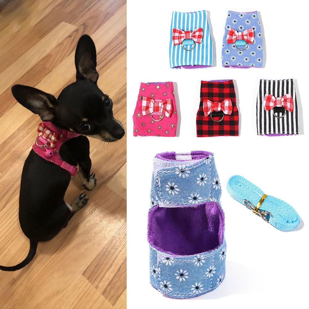 LEISURE Bộ Dây Dắt Chuột Hamster Đi Dạo Xinh Xắn