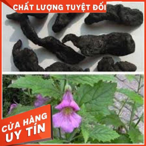 100g Thục Địa