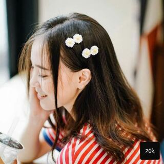 Kep hoa cúc 2 bông