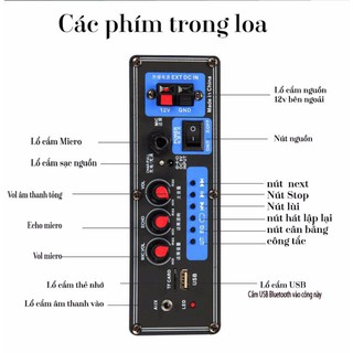Loa kéo di động Temeisheng A8-2