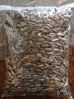 1kg hướng dương rang sẵn (Hàng loại 1)