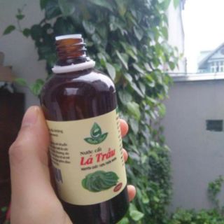 Nước cất lá trầu