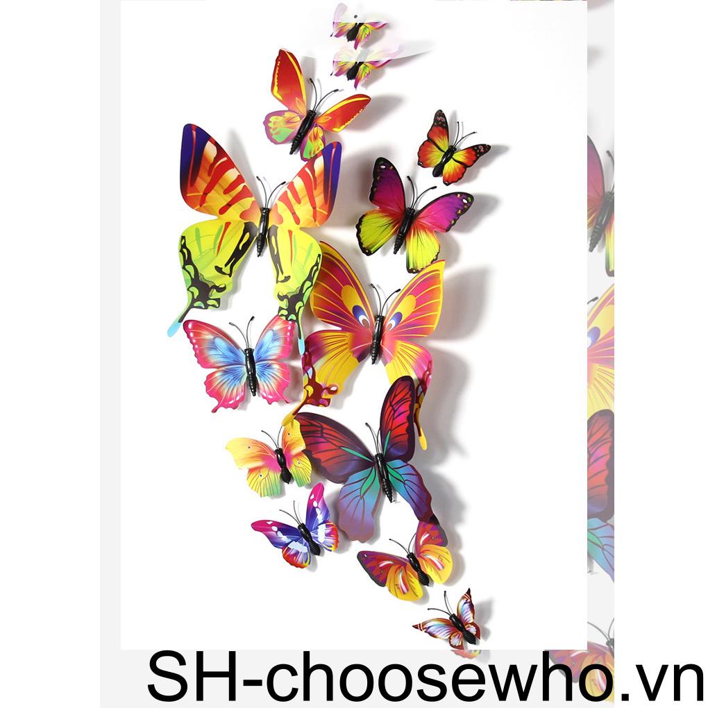 Decal dán tường Hình Côn Trùng 3D 1 / 2 / 3 / 5