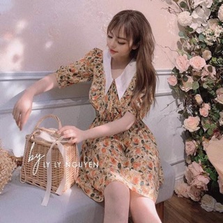 Đầm giá rẻ