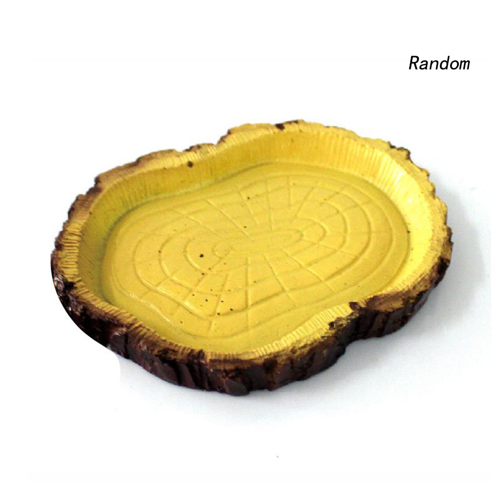 Khay Đựng Thức Ăn Cho Thú Cưng Bò Sát