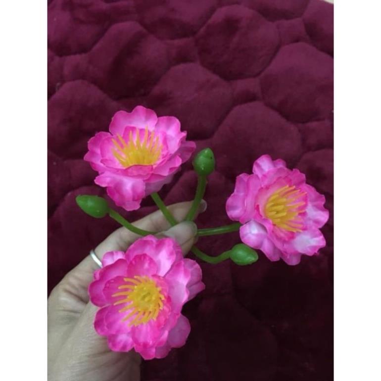 Anh đào bông rời 500g phù hợp trang trí cây giả ngày tết