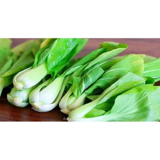 Cải Thìa RĐ 77