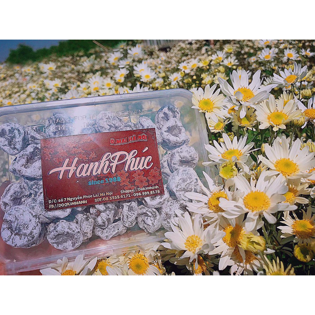 Mơ xuất Nhật xí muội không hạt 100GR / 200GR / 300GR / 500GR