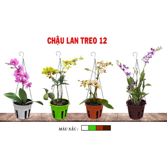 5 Chậu Nhựa Treo Lan 12x10cm (Combo 5 Chậu)