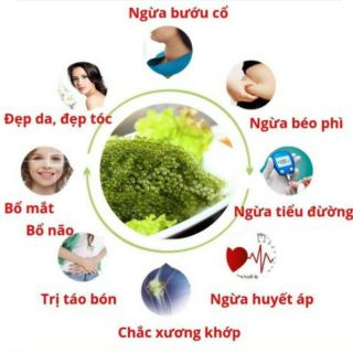 Rong nho Sabudo 20g combo 5 gói