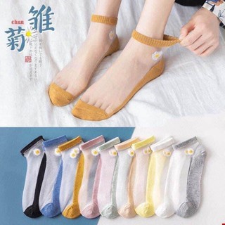 SÉT 10 ĐÔI VỚ HOA CÚC