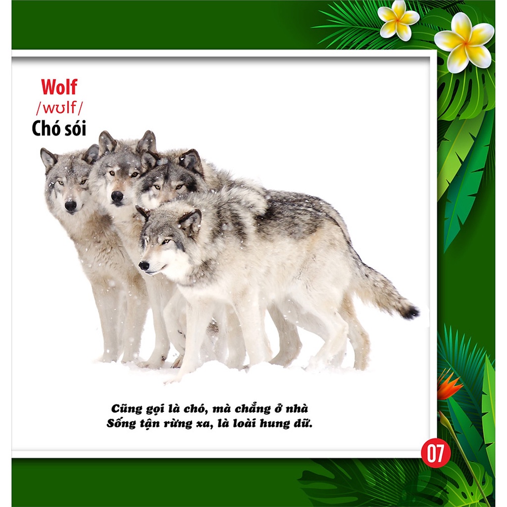 Sách - Cùng Bé Khám Phá Thế Giới Xung Quanh - Động Vật - Sách Song Ngữ