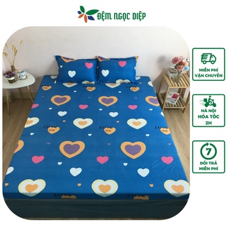 Set ga trải giường và 2 vỏ gối poly cotton nhiều mẫu (chat chọn mẫu)