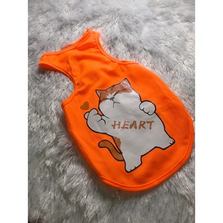 ÁO CHÓ MÈO - BA LỖ ( HÀNG TAOBAO CÓ SẴN )