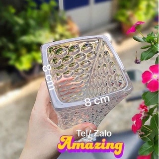 Bình hoa thủy tinh vuông eo cao 25cm