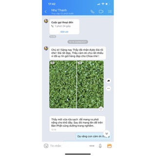 Đá Xanh Lá Pre Diot  Sỏi  Bóng 100 gram