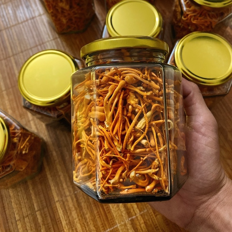 Đông trùng hạ thảo khô hộp 25g sấy thăng hoa, nấm đông trùng loại thượng hạng đạt tiêu chuẩn của Viện Hàn Lâm VN