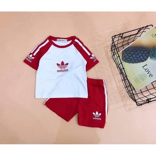 rẻ vô địch/bộ thun lạnh das sịn sò