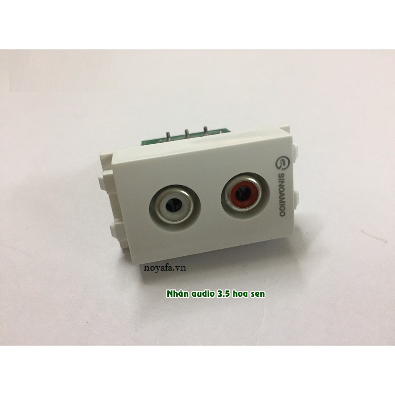 Nhân ổ cắm Audio Jack 3.5 đầu hoa sen lắp âm tường, âm sàn