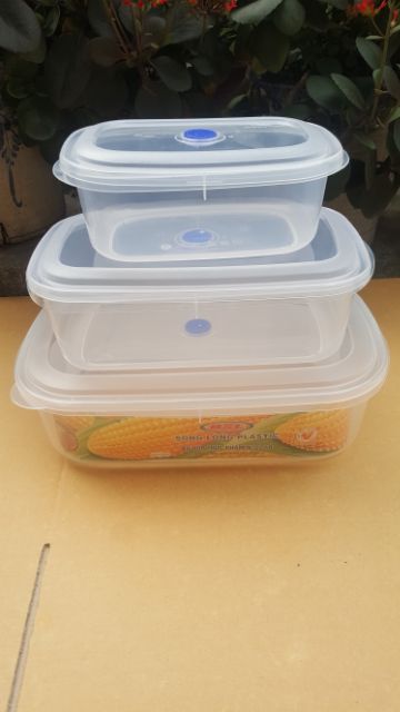 Bộ 3 hộp trữ đồ đông, hộp nhựa đựng thực phẩm Song Long dễ dàng sử dụng 2246 (1230ML, 2460ML, 4480ML)