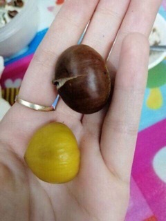 HẠT DẺ TRÙNG KHÁNH LOẠI 1
