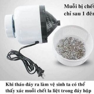 Máy bắt muỗi