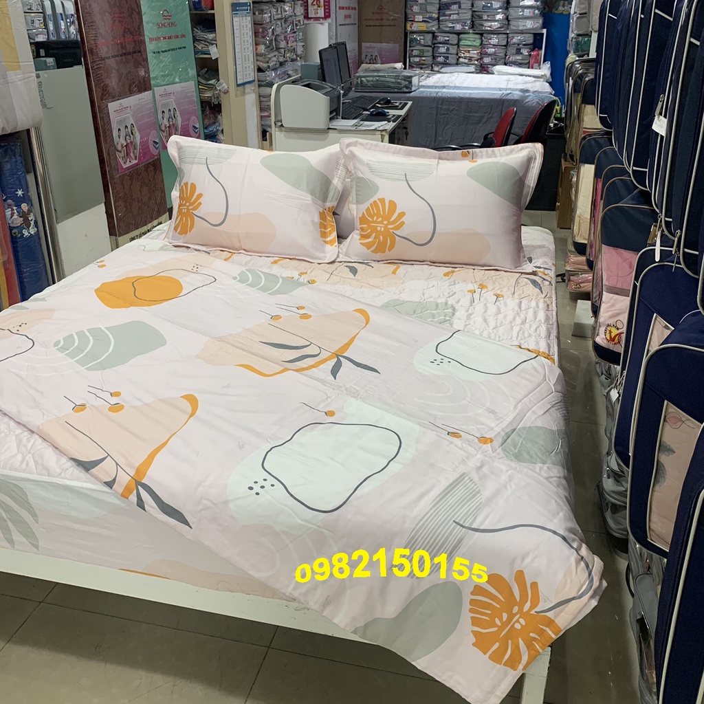 Ga chun 1,8x2,0 có chần SÔNG HỒNG