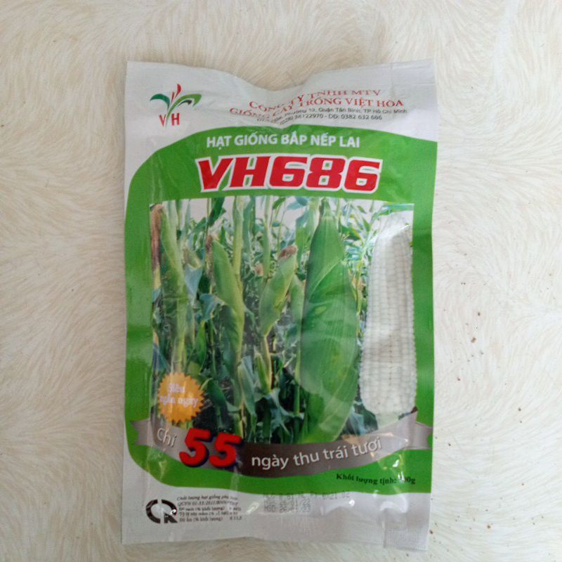 Hạt giống bắp nếp lai VH686
