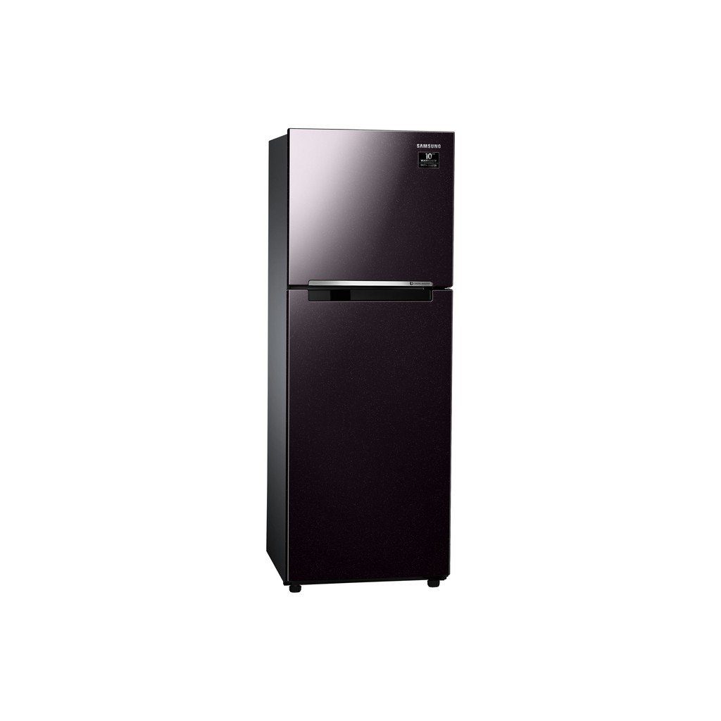 [Mã ELMALL7 giảm 7% đơn 5TR] [Trả góp 0%]Tủ lạnh hai cửa Samsung Digital Inverter 243L RT22M4032BY