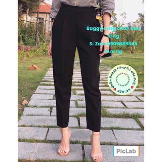 quần tây nữ baggy co giãn