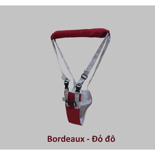 Đai/ Địu tập đi cho trẻ hàng Việt Nam Royal