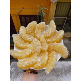 Cây Giống Bưởi Diễn (cây ghép thuần chủng F1)