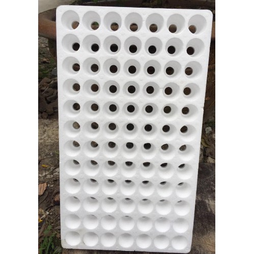 Khay xốp ươm hạt 84 lỗ