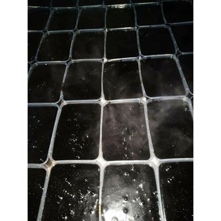 Thạch Đen Tràng Định Lạng Sơn
