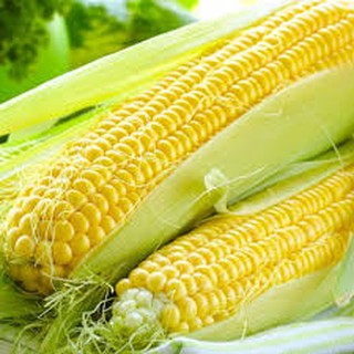 Hạt giống ngô ngọt gói 30 hạt