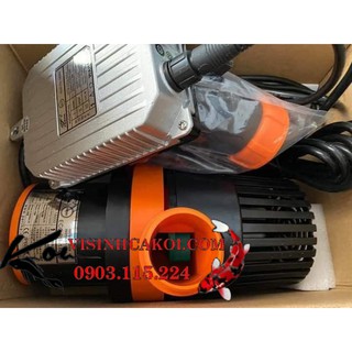Máy Bơm Periha PB 7000 Tiết Kiệm Điện 3 Chế Độ