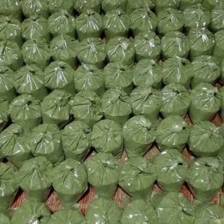 1kg bột thạch găng Tam Đảo