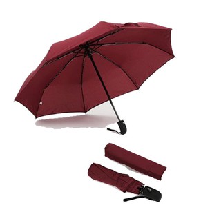 Ô Tự Động Gấp Gọn Đóng Mở 2 Chiều [ Hàng 10 Nan ]