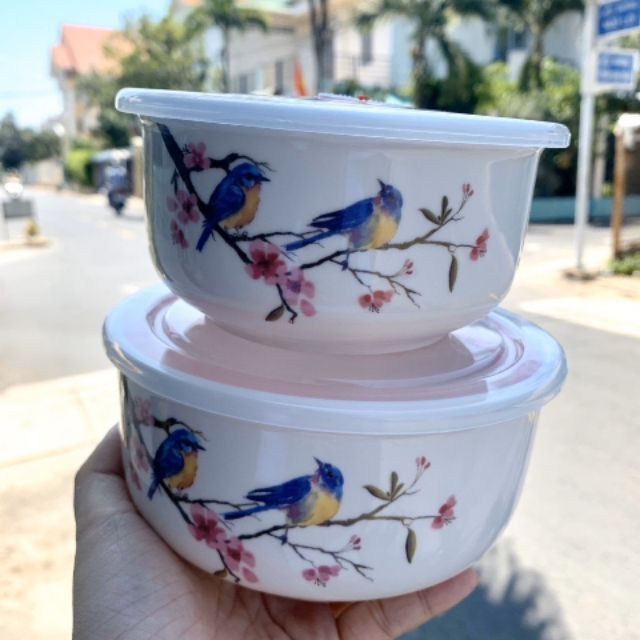 🌸🌸Bộ thố sứ 2 cái nắp hút chân không