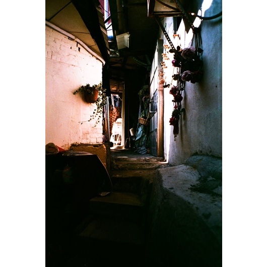 Film dương bản Dyna Ex 100