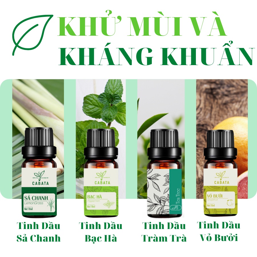 Tinh Dầu Thiên Nhiên 10ml nguyên chất - Nhập Khẩu - Thơm Phòng - Dùng cho đèn xông - máy xông - máy khuếch tán tinh dầu