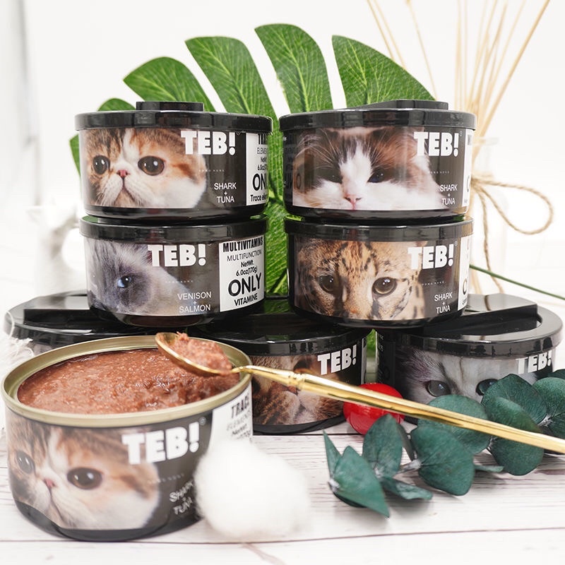 Pate Teb Only lon 170g - Pate cho mèo cao cấp bổ sung vitamin, chăm sóc mắt, đẹp lông, tăng cân, dinh dưỡng