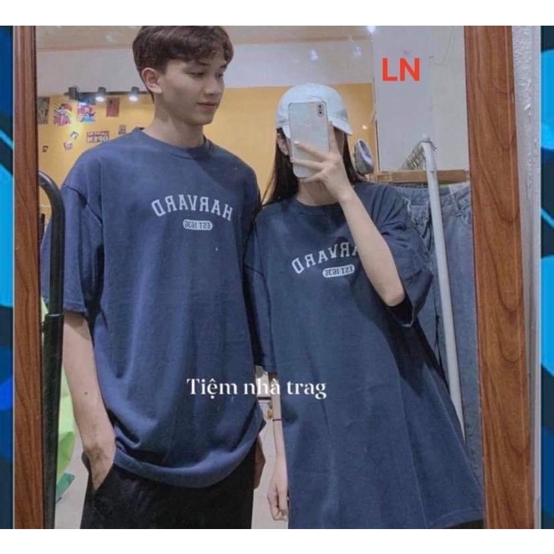 Áo phông Harvard DA6