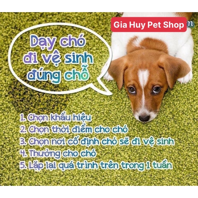 Xịt Vệ Sinh Đúng Chỗ Cho Chó Mèo