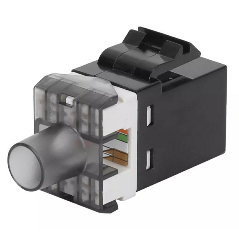 10 Nhân mạng - Modular Jack Cat6 - Cat5e