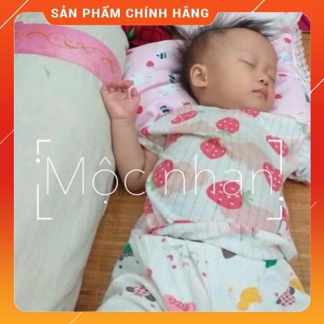 [FREESHIP][Giảm Giá tháng 4] Gối Đinh Lăng cao cấp Mộc Nhan ( 2 vỏ + 1 ruột gối )